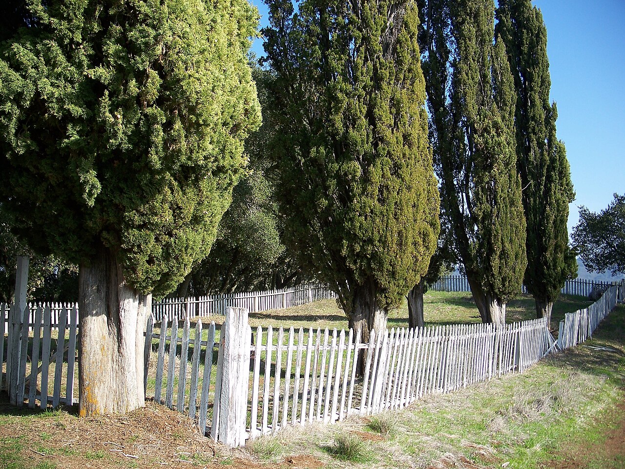 Hidalgo cemetery